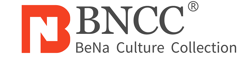 BNCC Logo.png