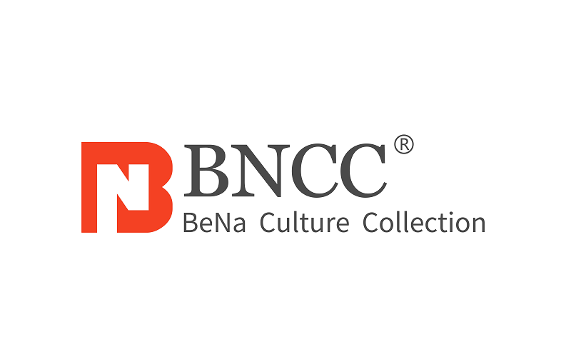 BNCC社　　　　　　　　　　　　　　　　　　　　　　　　　　　　　　　　　　　　　　　　　　　 　　　　　　　　中国