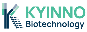 Kyinno Biotechnology -Logo.png