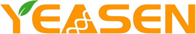 Yeasen Logo.png