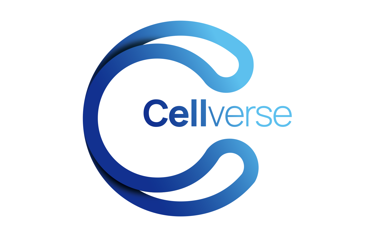 Cellverse社　　　　　　　　　　　　　　　　　　　　　　　　　　　　　　　　　　　　　　　　　　　　　 　　　 　中国