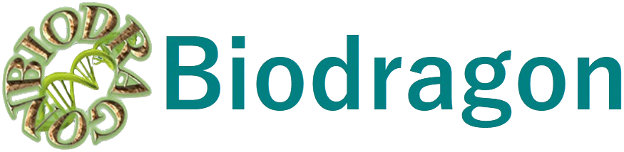 Biodragon Logo.png