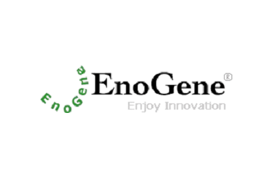 EnoGene Biotech社　　　　　　　　　　　　　　　　　　　　　　　　　　　　　　　　　　　　　　　　　　　   アメリカ