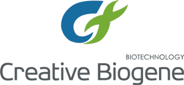 Creative Biogene Logo.png Creative Biogene Logo.png