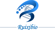 Ruixi Biotech Logo.png