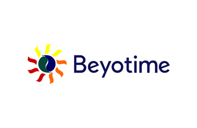 Beyotime社　　　　　　　　　　　　　　　　　　　　　　　　　　　　　　　　　　　　　　　　  　　　　　　　　　中国